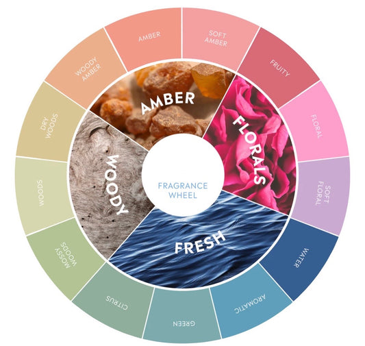 SCENT PROFILE (Fragrance Families)